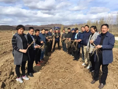 “中國蛋雞健康養(yǎng)殖研討會”在我公司順利召開！
